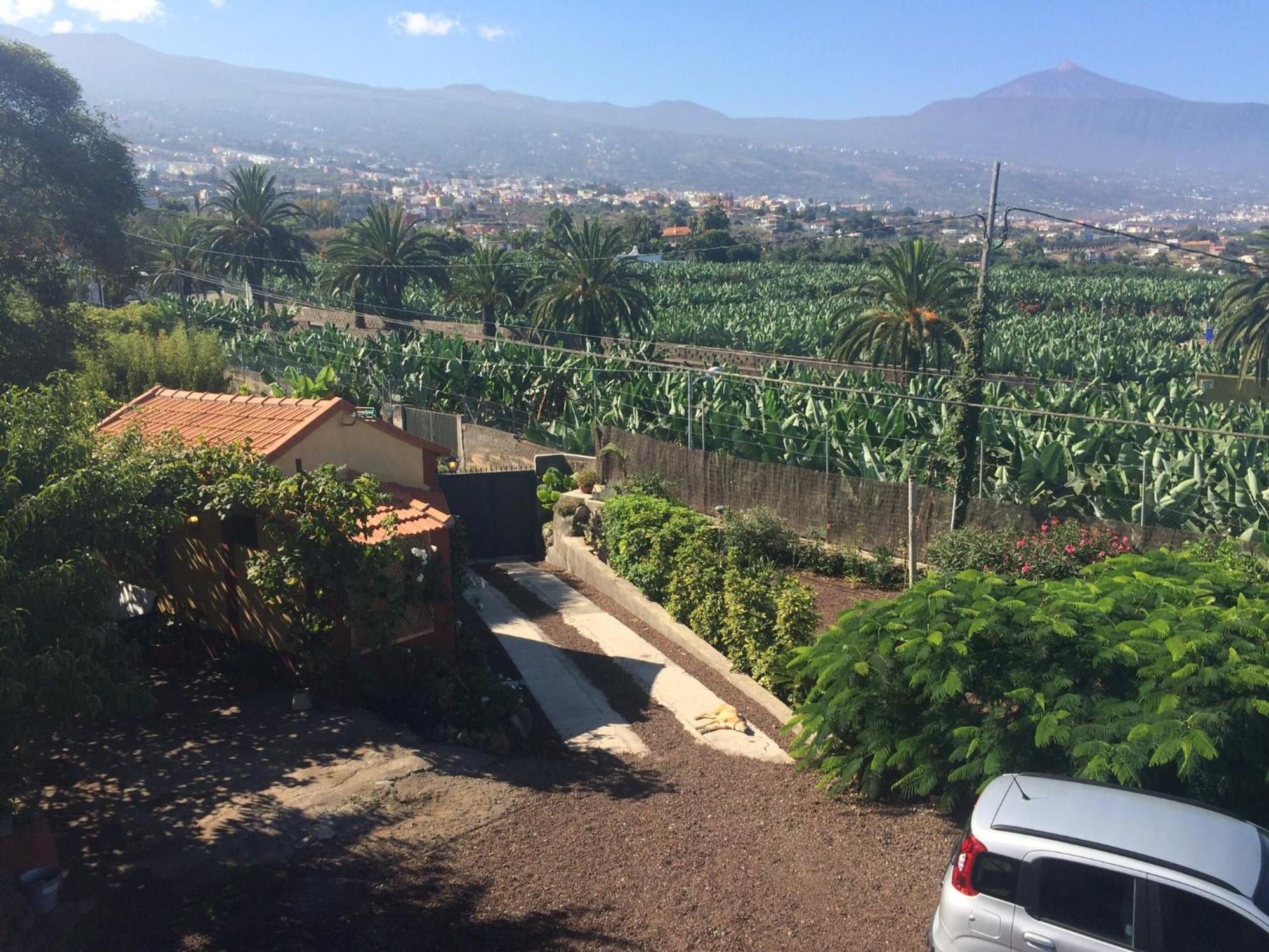 Finca La Plantacion _Agroturismo La Orotava Exteriér fotografie